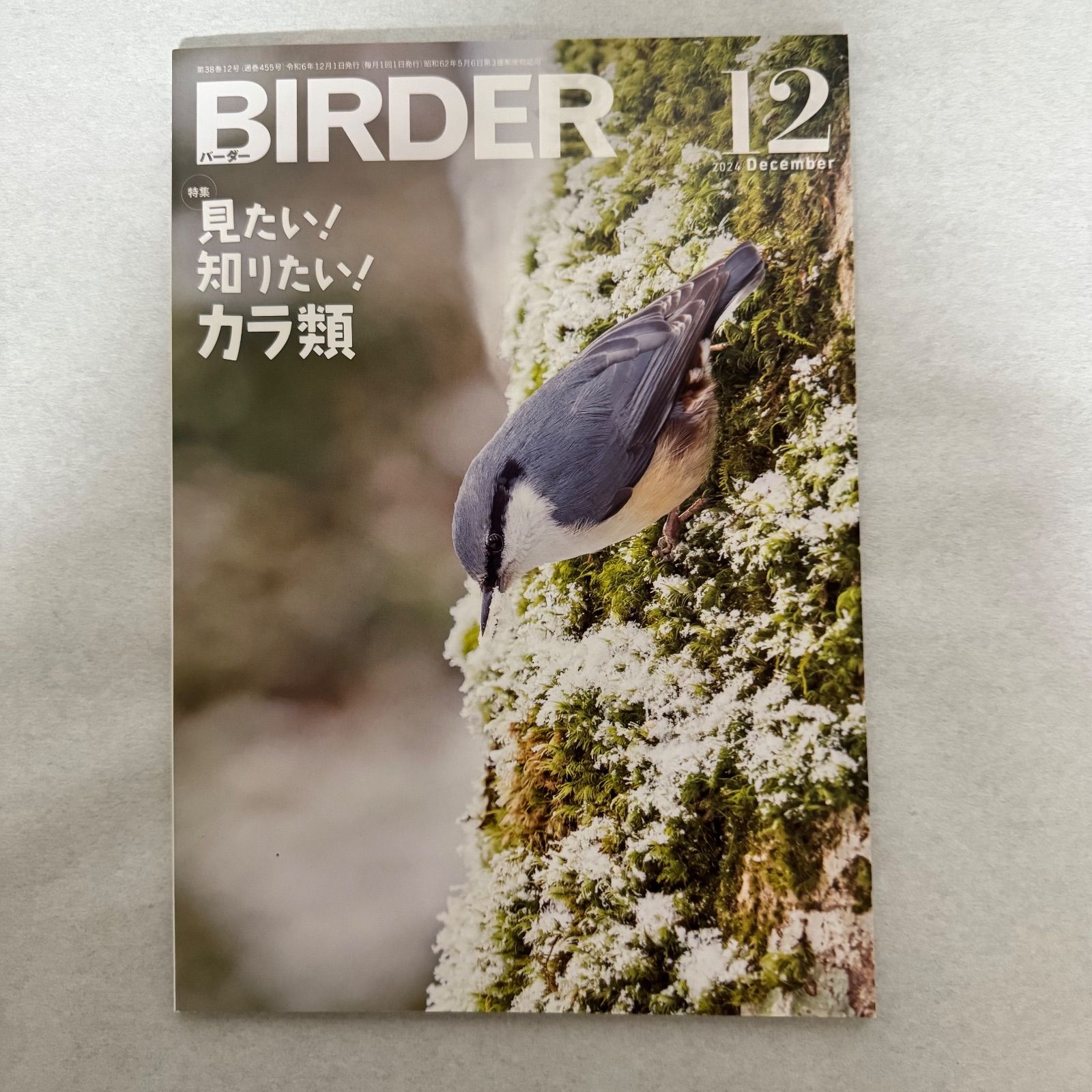 雑誌☆BIRDER☆バーダー☆2024年12月号☆カラ類特集☆中古 - メルカリ