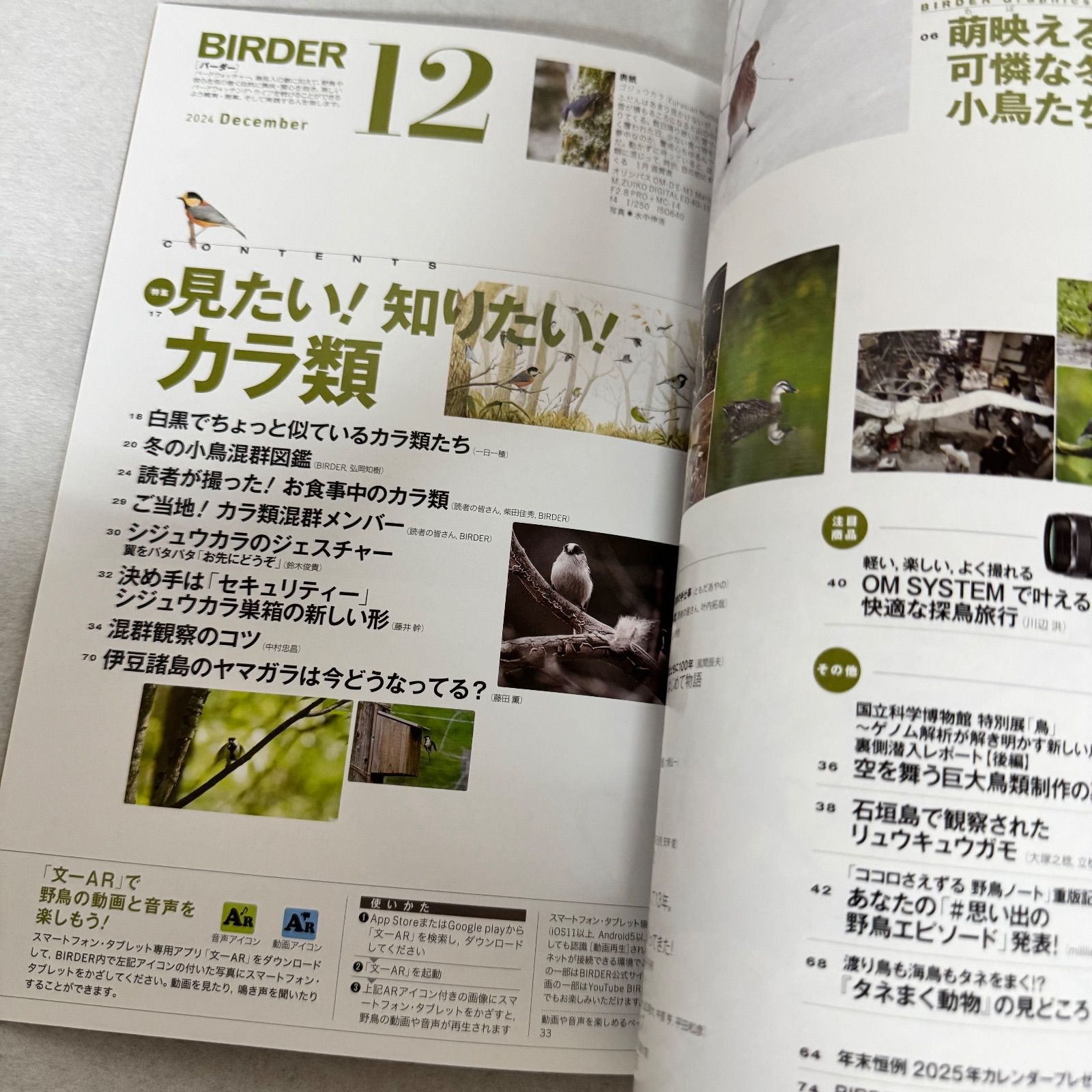 雑誌☆BIRDER☆バーダー☆2024年12月号☆カラ類特集☆中古 - メルカリ