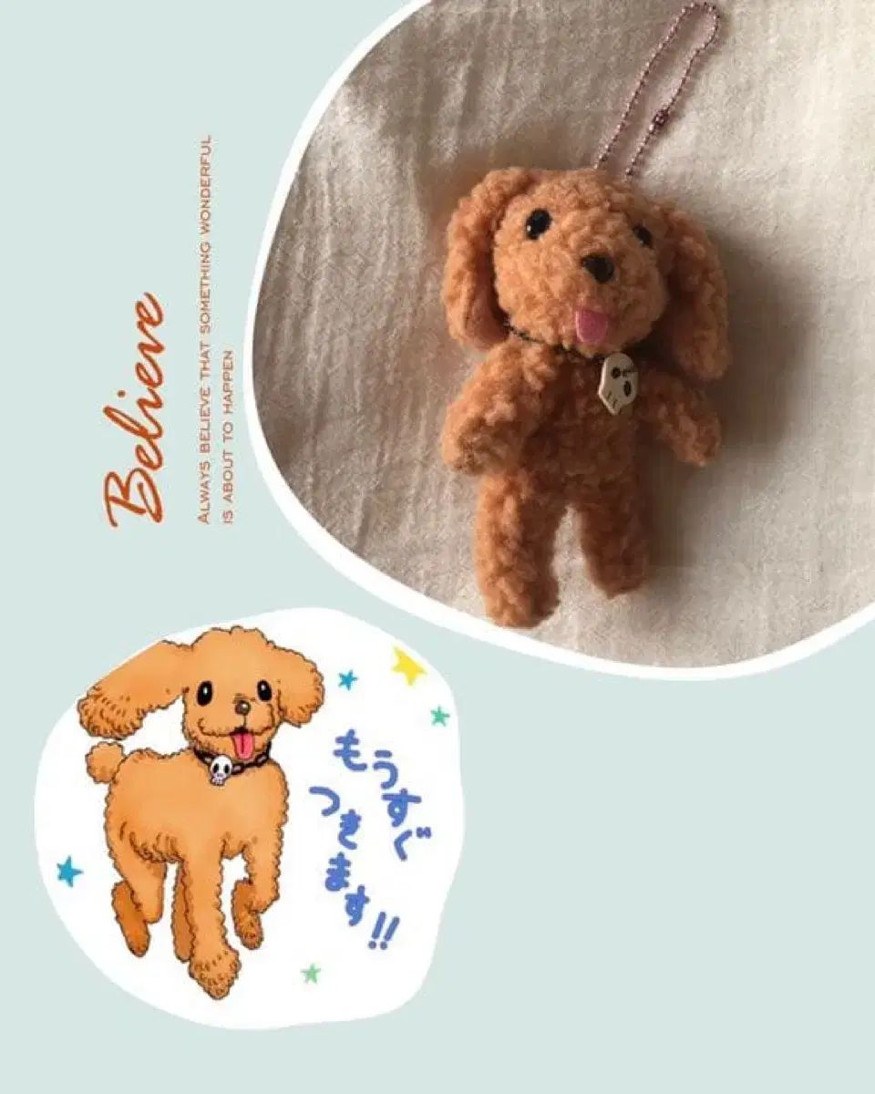 シュガシュガルーン ロイ プーさん プードル キーホルダー