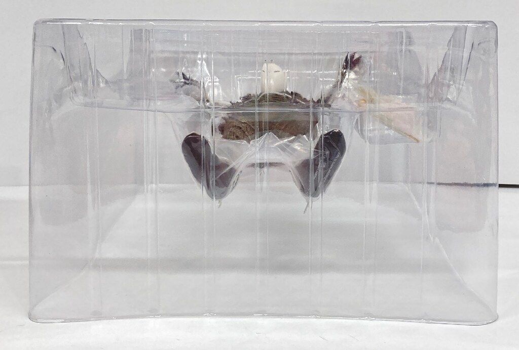 キング ボックル