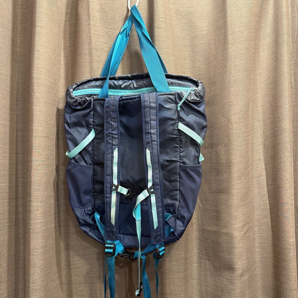 patagonia lightweight travel tote pack パタゴニア ライトウェイト
