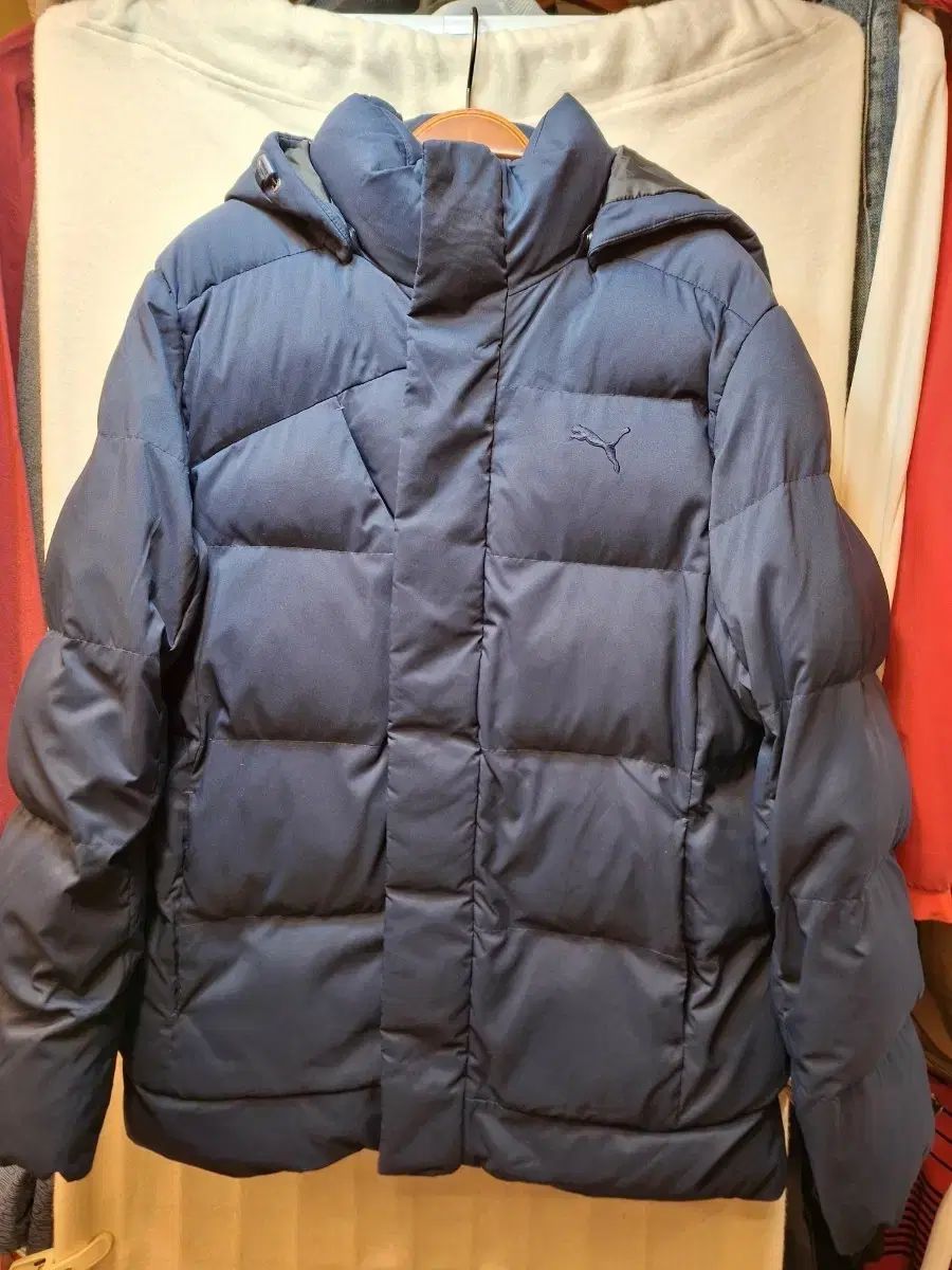 プーマ ネイビー フード ダウン アウター
