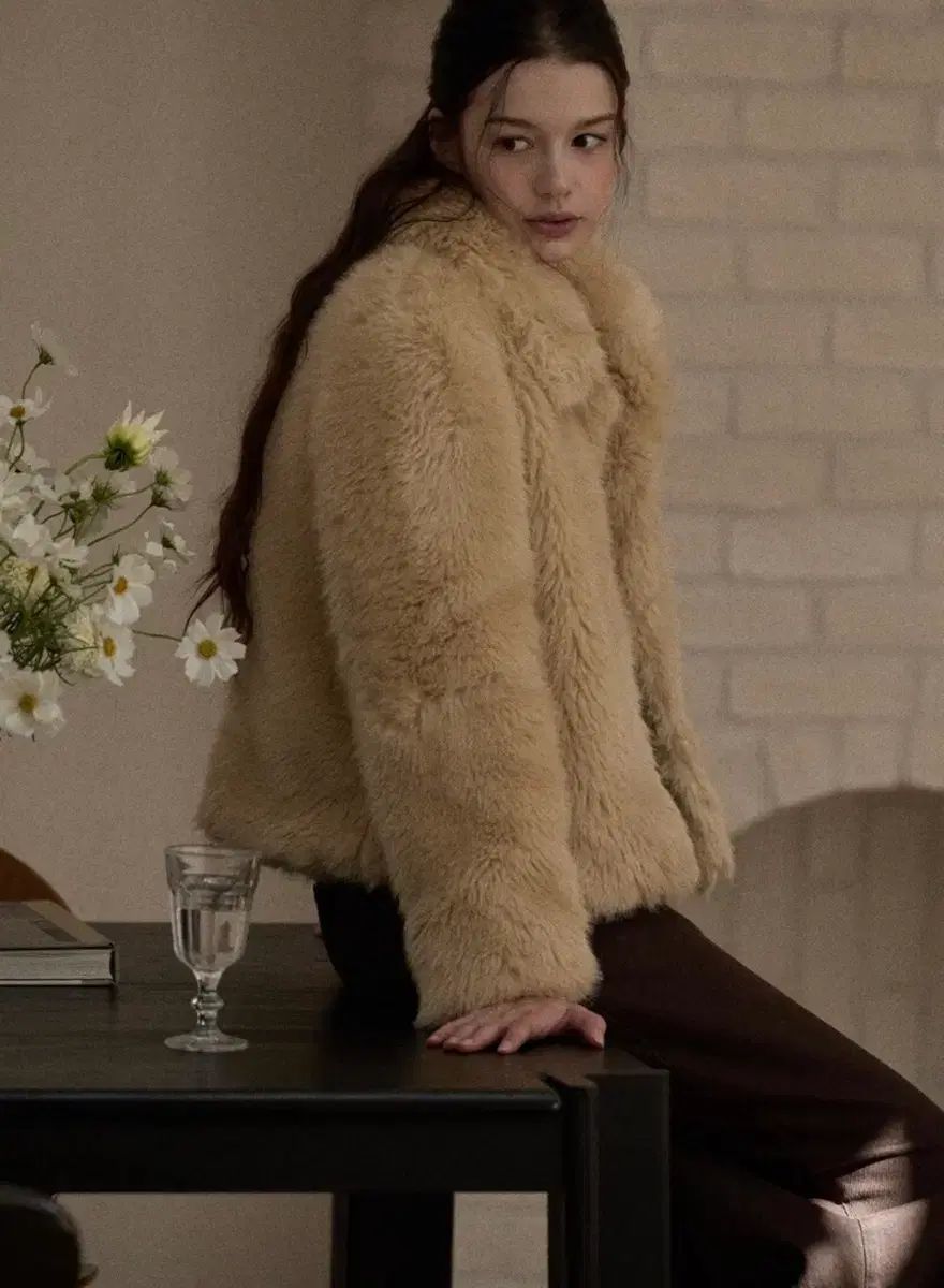 MANSION アルパカ