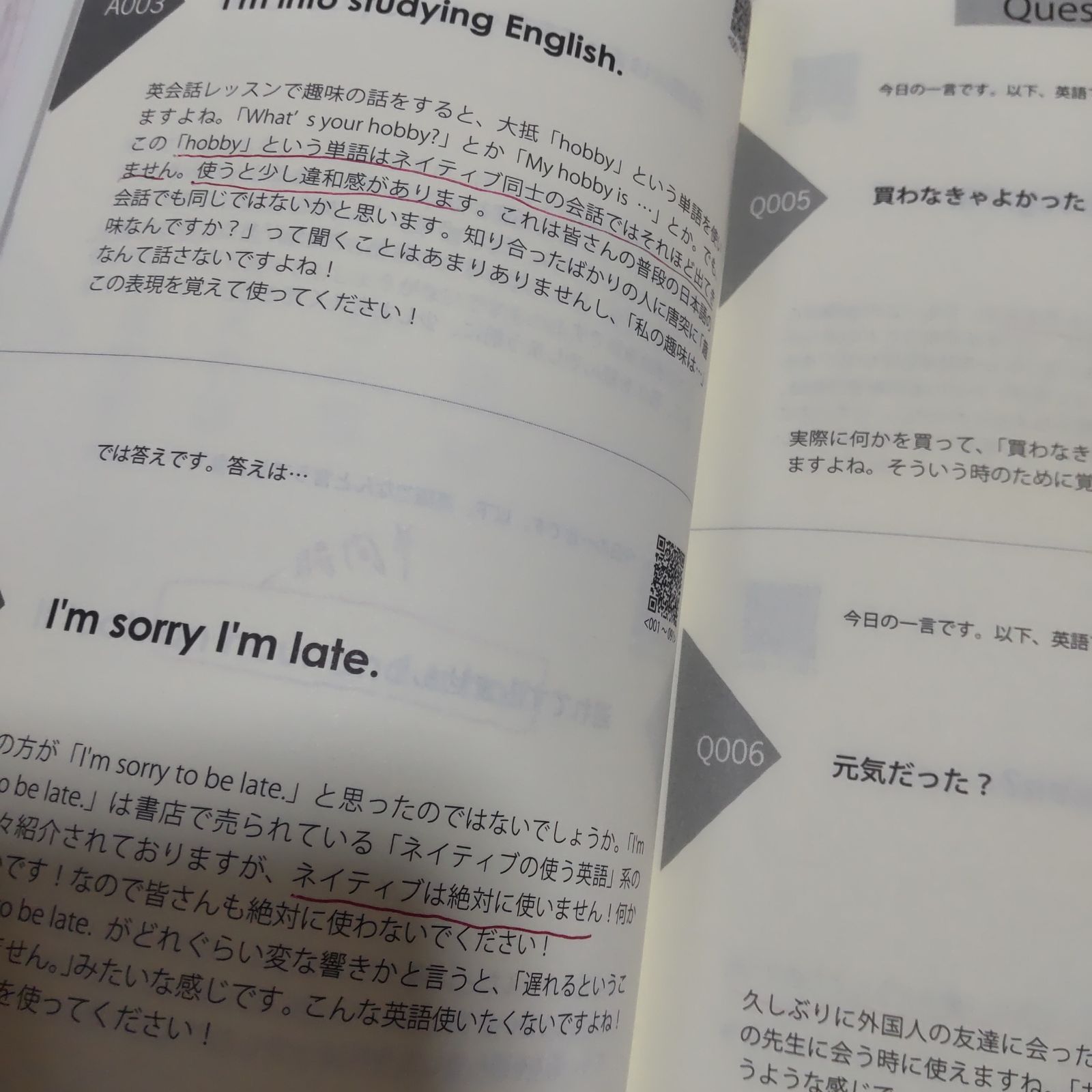 英語は一日一言覚えれば話せます これでダメなら英語はあきらめて