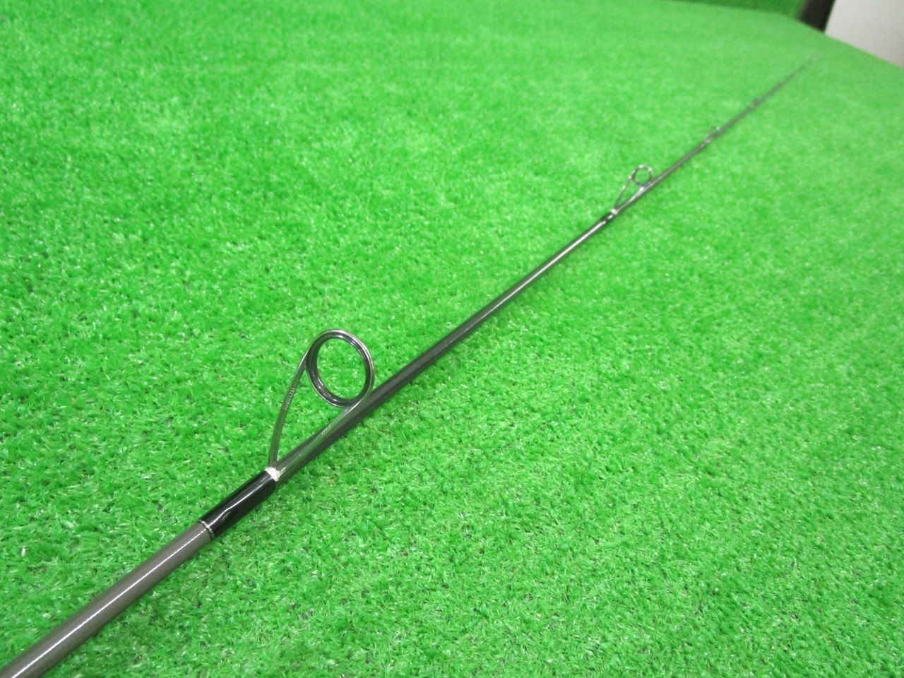 エバーグリーン