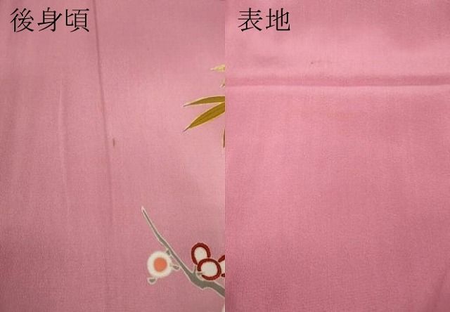 平和屋着物○アンティーク 大正ロマン 色留袖 駒刺繍 笹竹花文 暈し