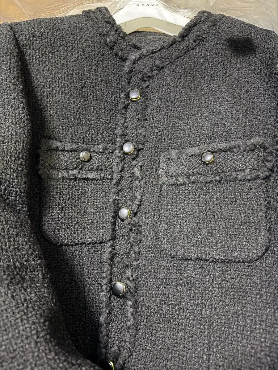 ま*8様 5株セットlsw634フィロデンドロン・セローム・斑入り 希少品種