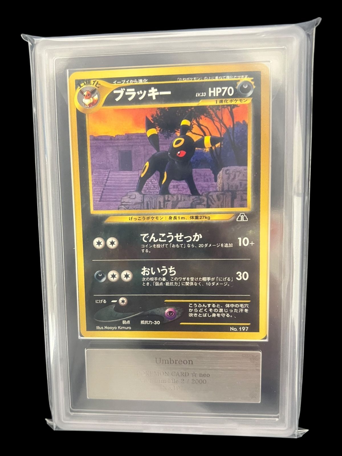 【ARS10】2000年ブラッキー　プレミアムファイル2 ARS鑑定10+ 送料無料】ポケモンカード 旧裏面 ブラッキー ARS10 ARS鑑定 キラ ホロ