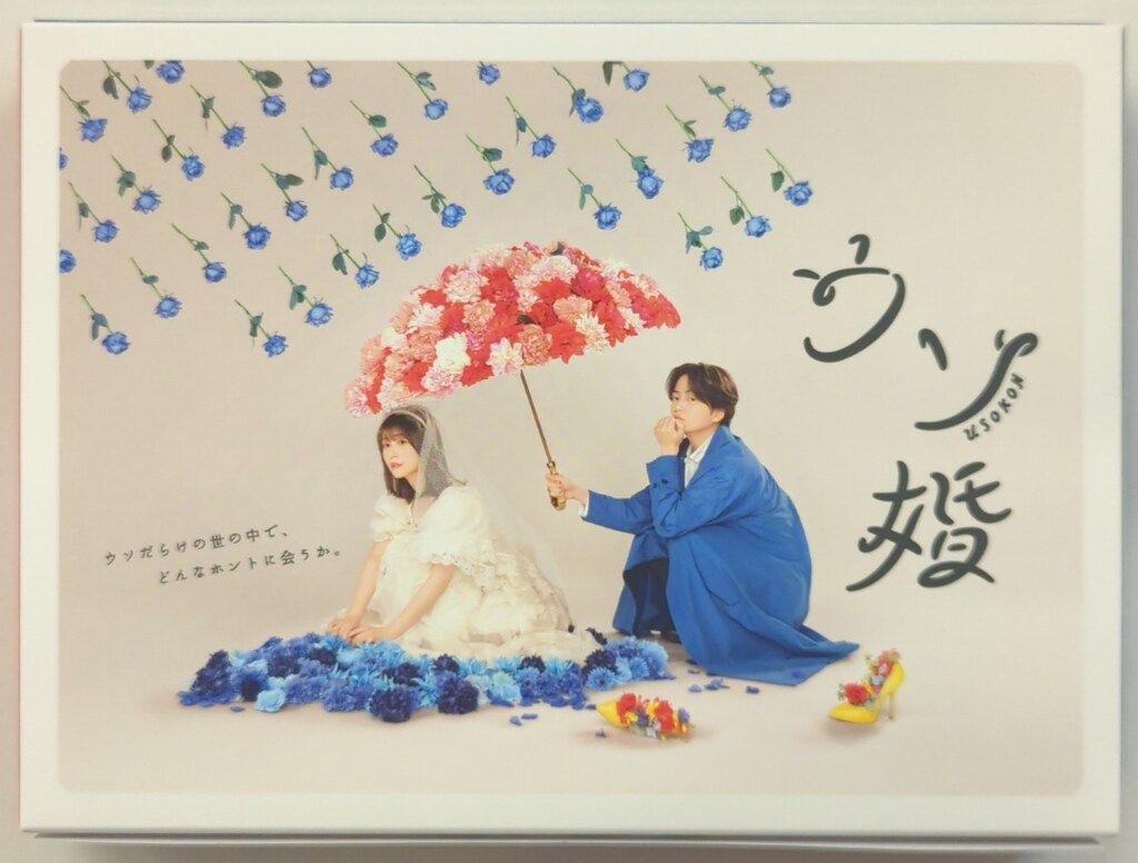 ドラマDVD ウソ婚 DVD-BOX