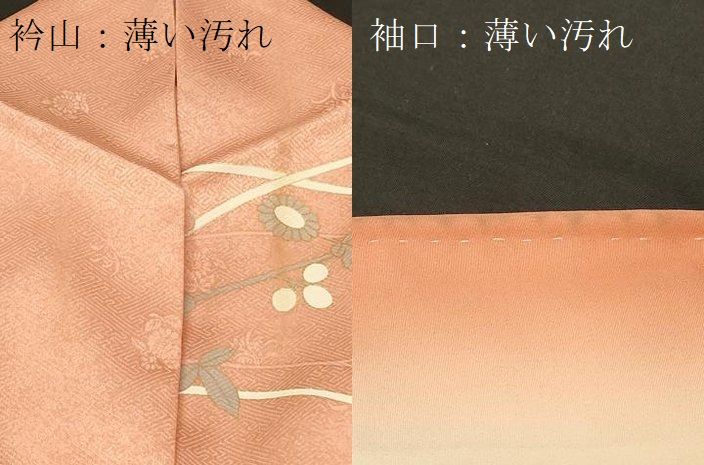 平和屋着物□訪問着 花筏文 暈し染め 金彩 正絹 逸品 CABA2982in