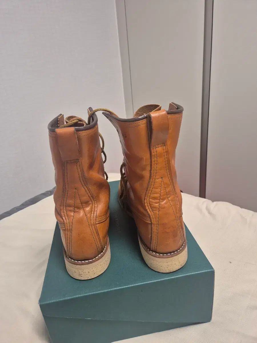 WING レッドウィング