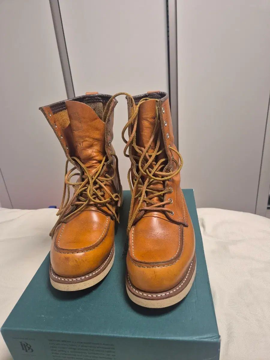 RED WING レッドウィング 9877 アイセター 9 5 size
