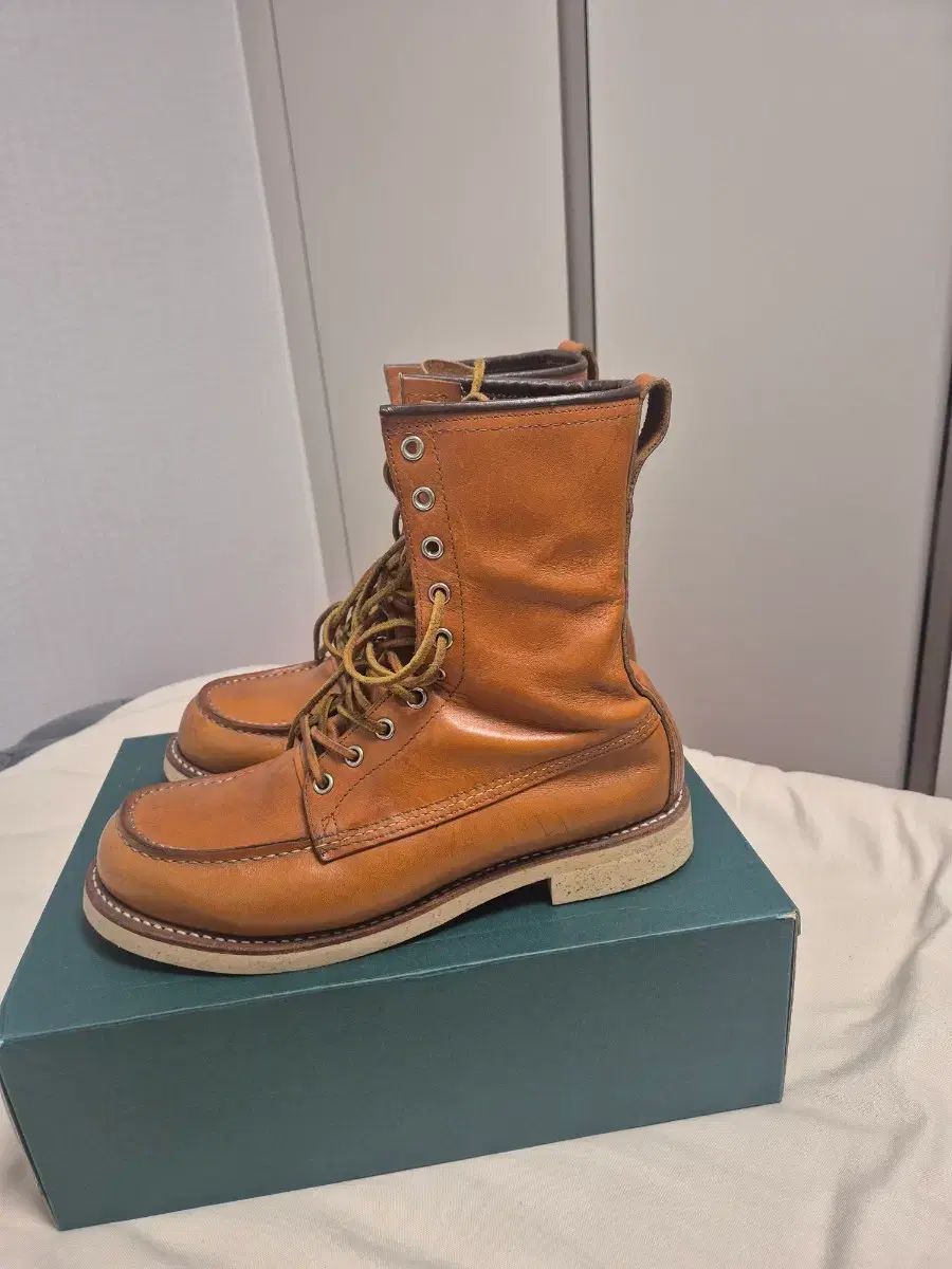RED WING レッドウィング 9877 アイセター 9 5 size