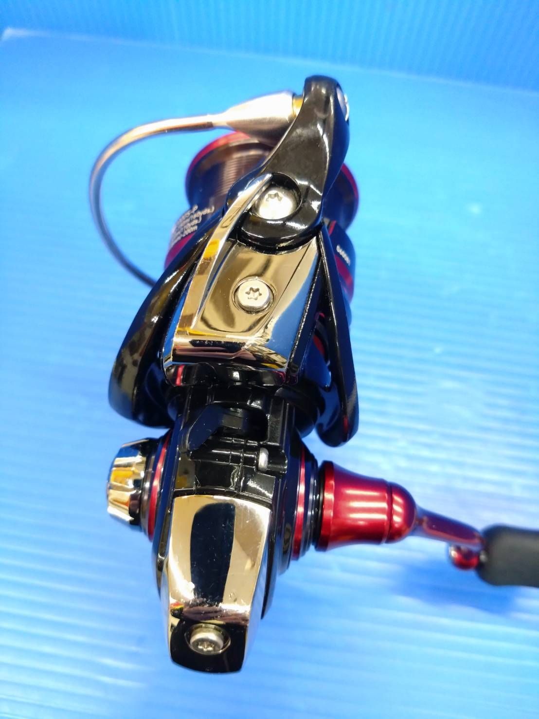 ロックフィッシュ 03