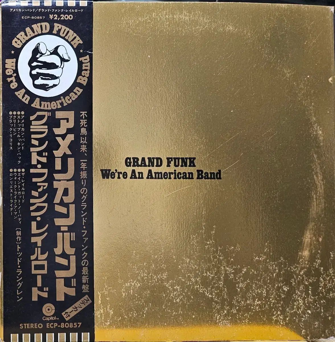 BA ー 265 LP すばらしいです パンク We re An American