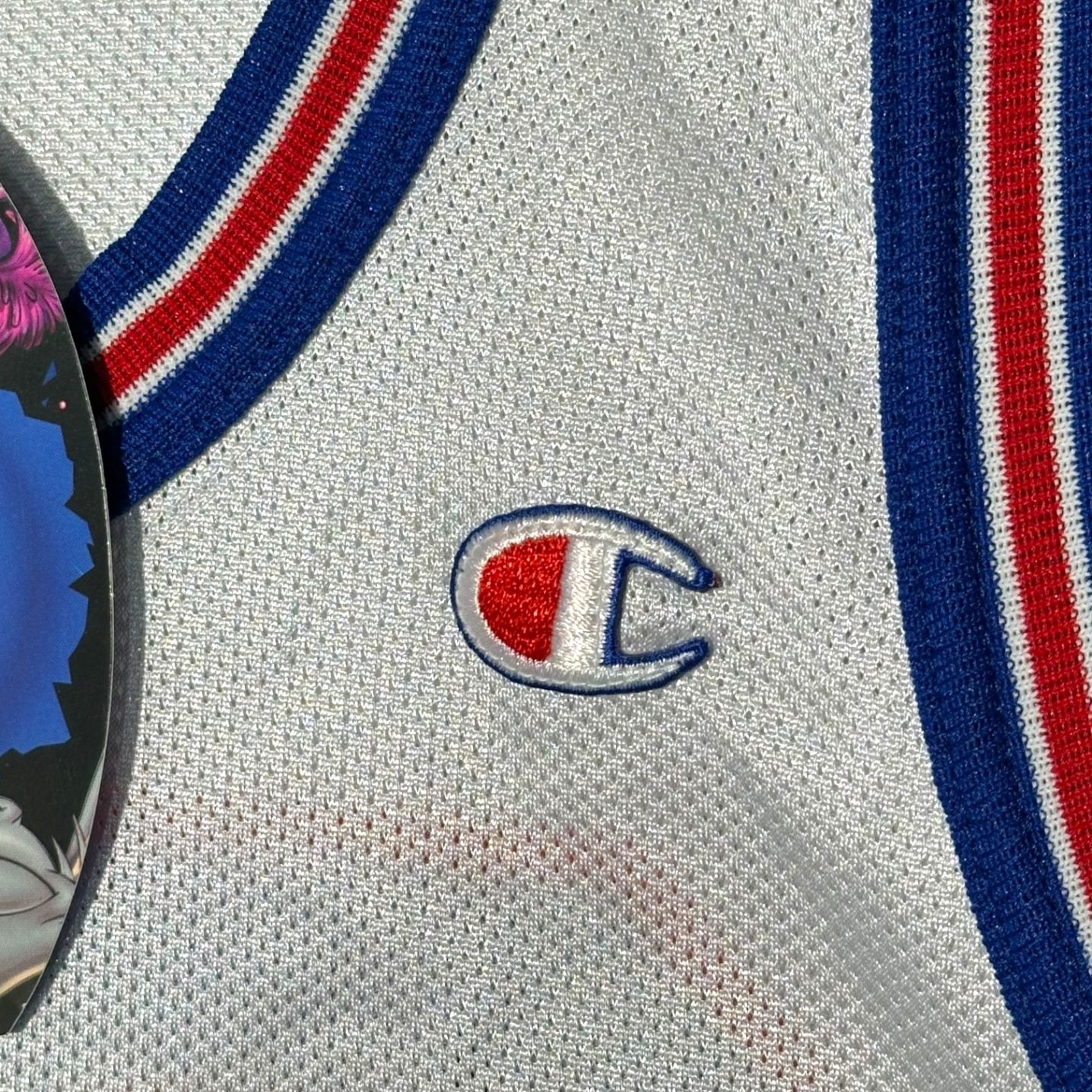 Champion(チャンピオン) 1996 ”SPACE JAM” JORDAN 23 GAME SHIRT