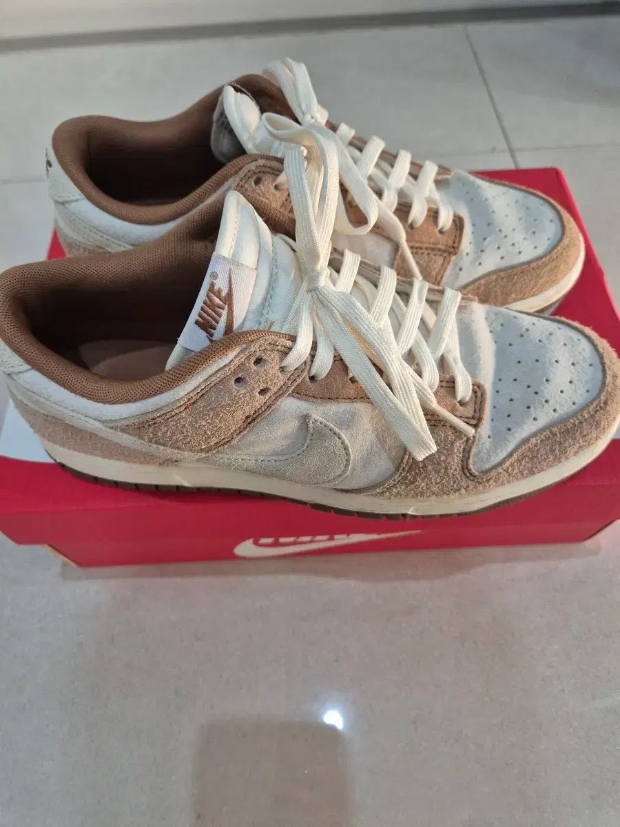 ミディアムカリー 26.5