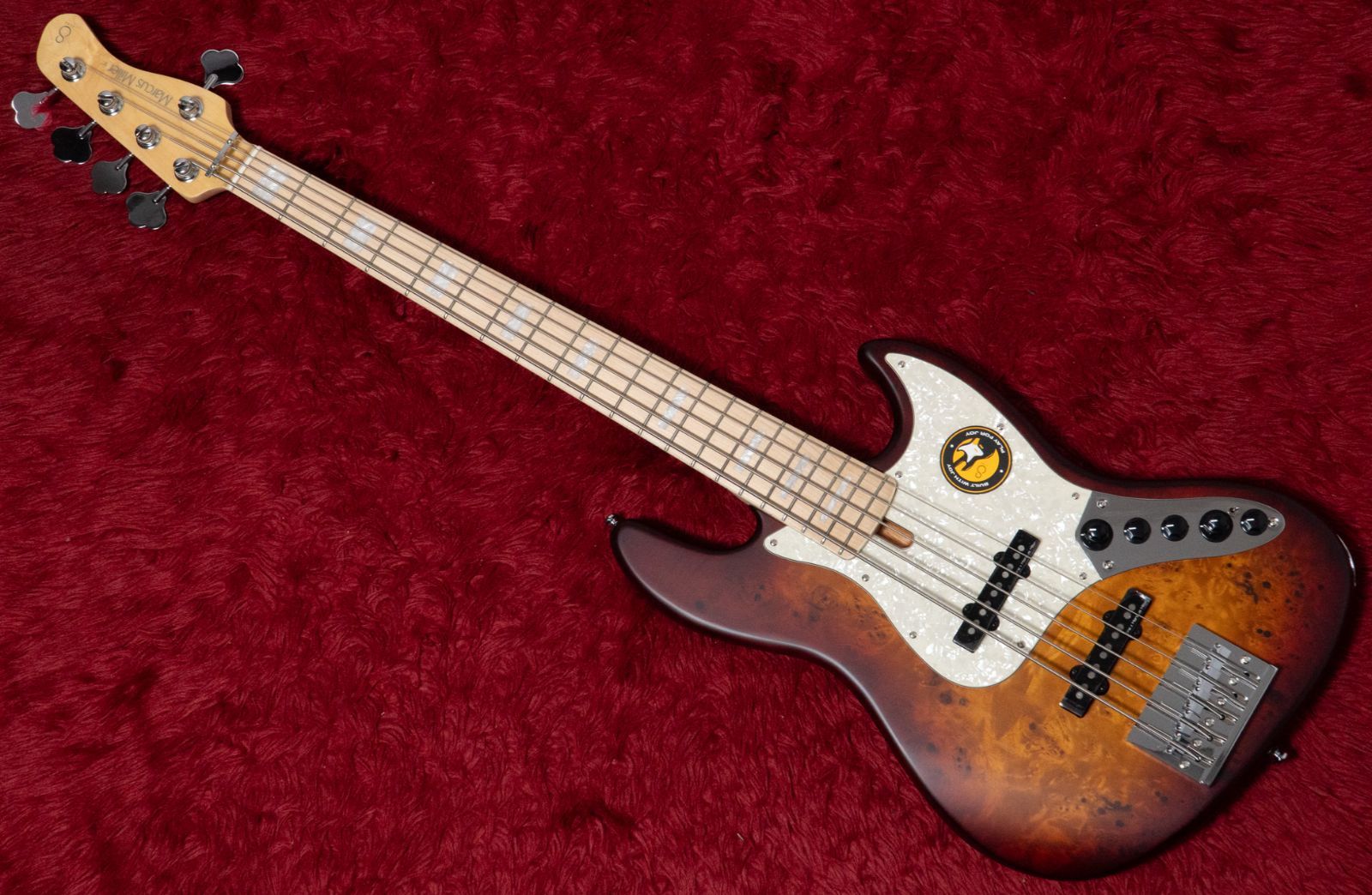 Sire V 7 Ash 5 REI TS S 4 583 kg GIB横浜