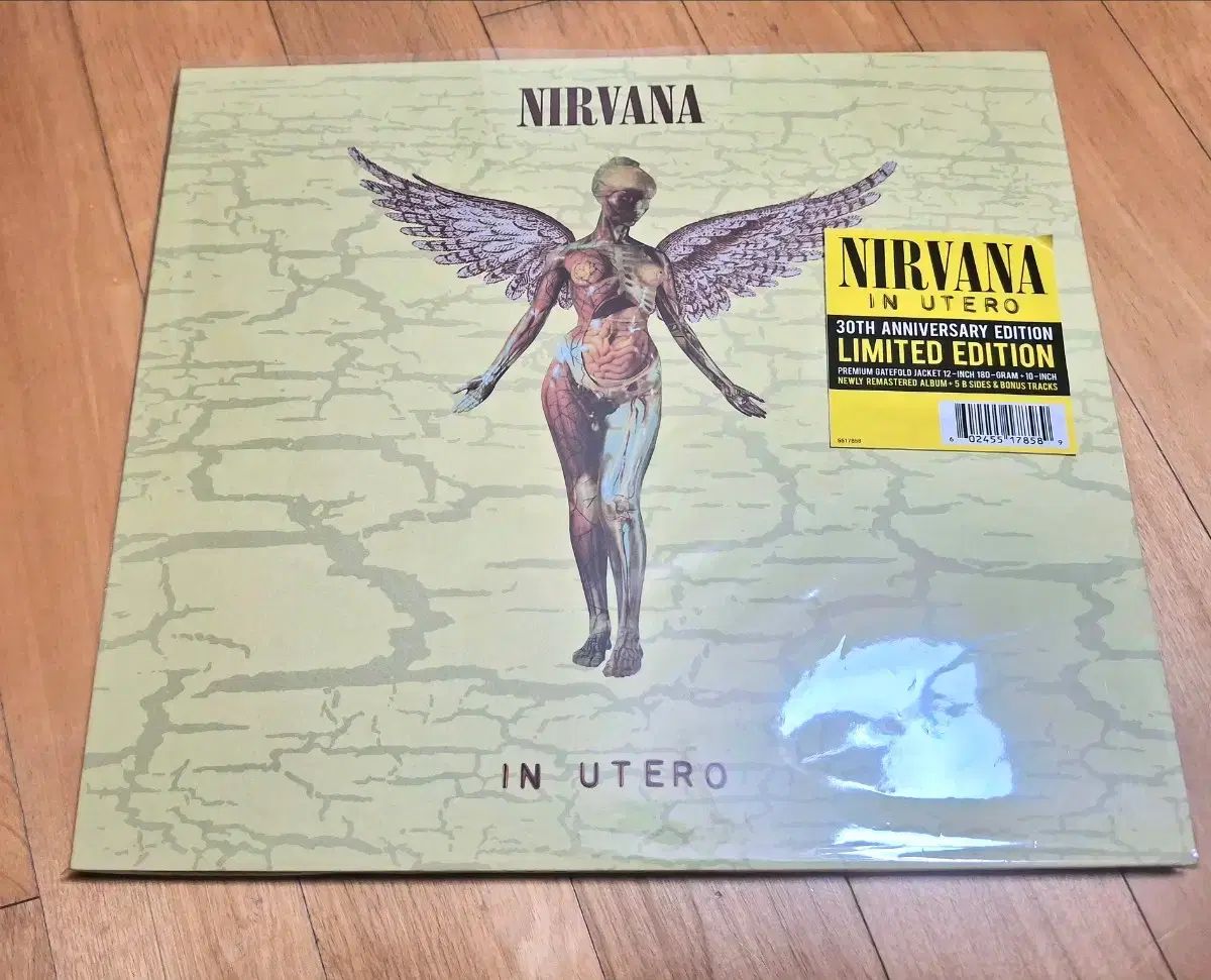ニルヴァーナ NIRVANA In Utero LP 限定版 限定盤 期間限定 - メルカリ