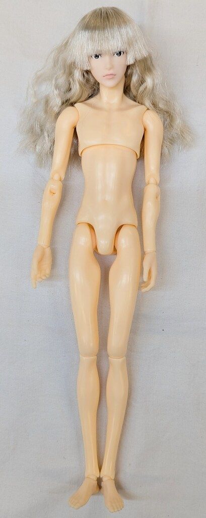 ペットワークス 六分の一男子図鑑 エイト B 25 AZ