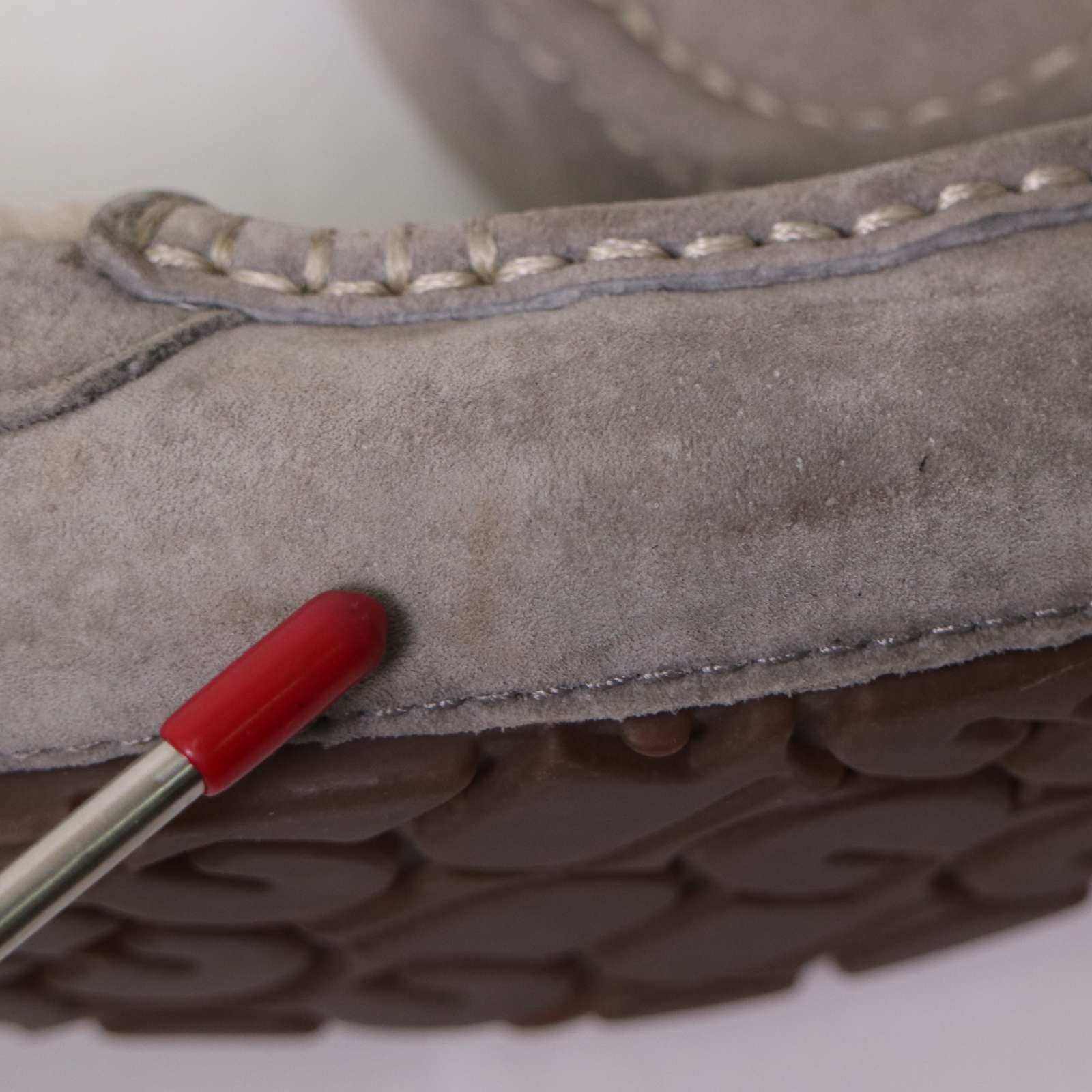 オーストラリア 秋冬