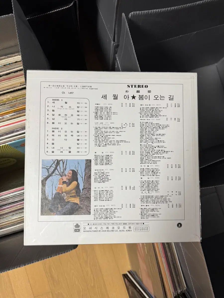 行こう パク インヒ ー セウォル スプリング 到来 推測 LP