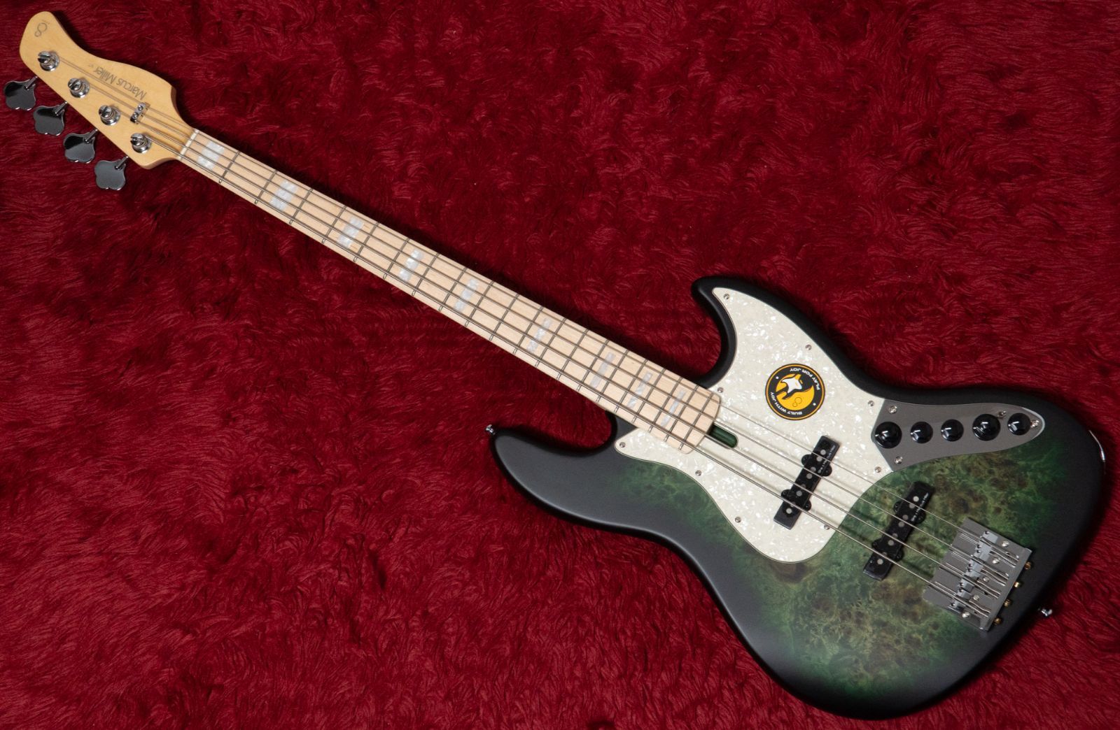 Sire V 7 Ash 4 REI TGR S 580 kg GIB横浜