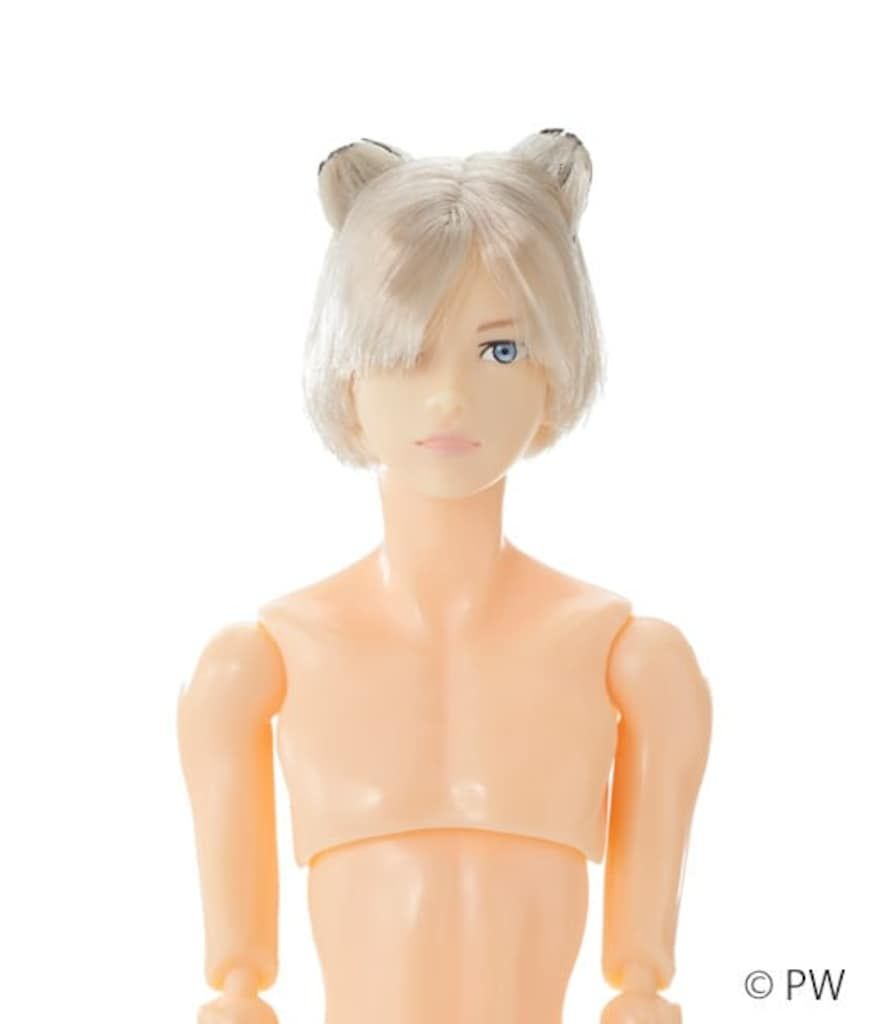 セール，爆買い ★新品★ペットワークス 六分の一男子図鑑 エイト B2512 その他