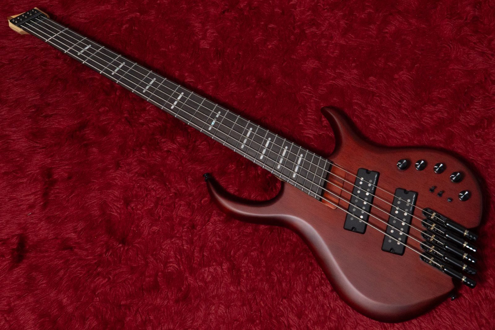 Sire M 6 5 MA S 3 465 kg GIB横浜