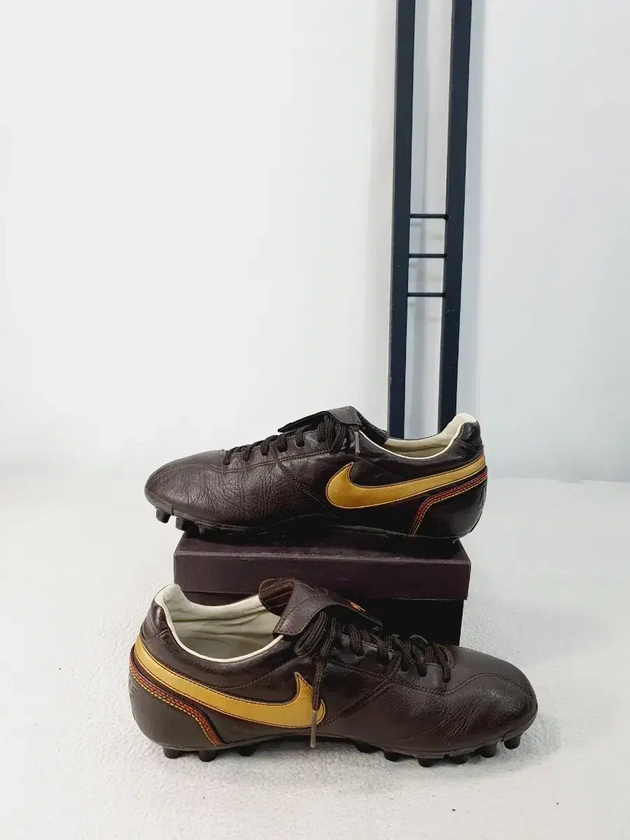 ナイキ サッカーシューズ ティエンポ R 10 ホナウジーニョ ブラウン 275