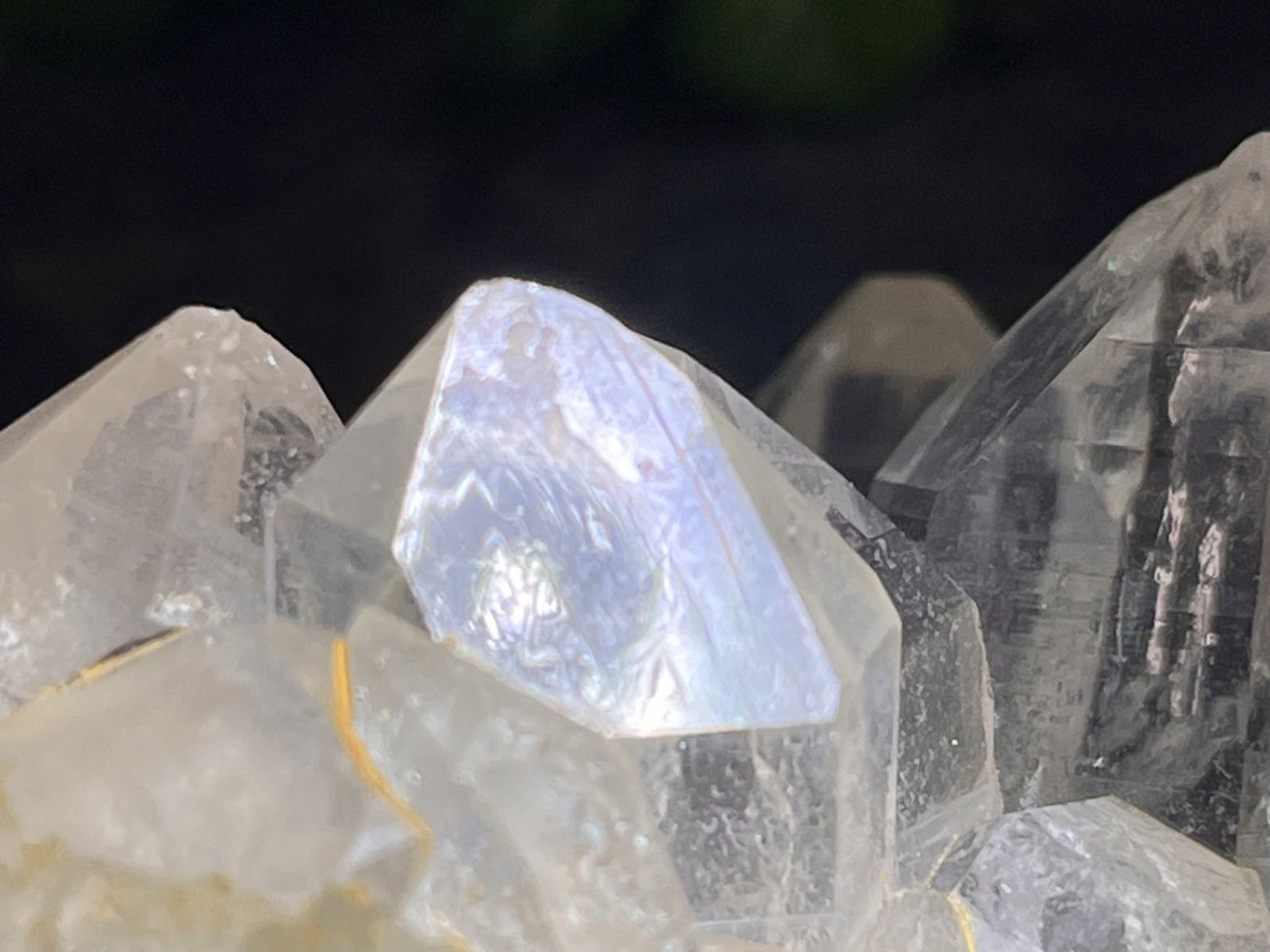 ヒマラヤ マニカラン産