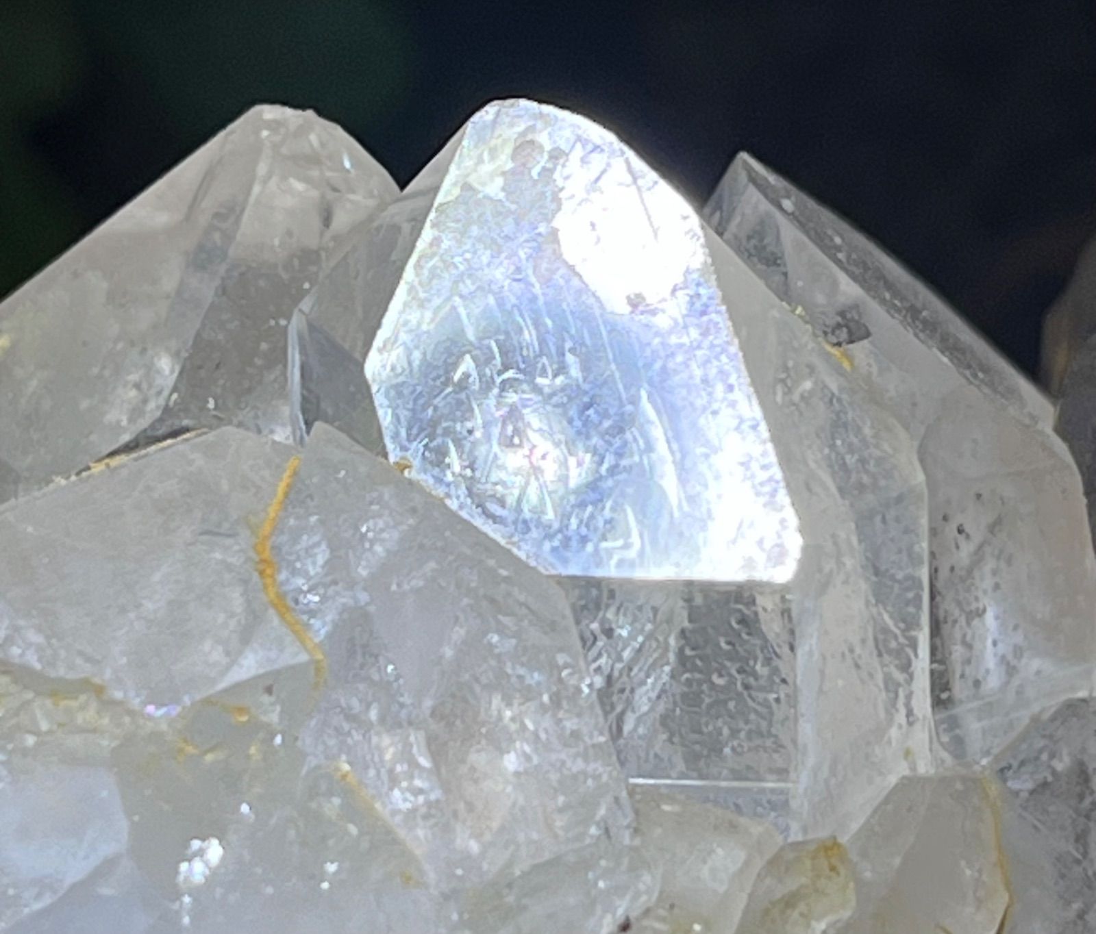 びっしりレコードキーパー