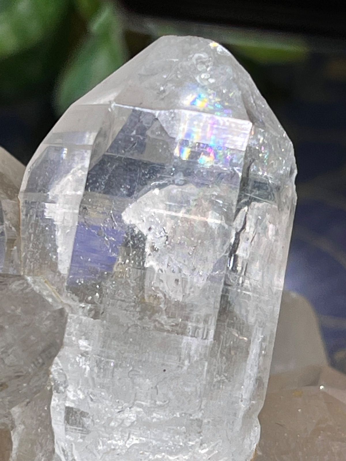 ヒマラヤ マニカラン産