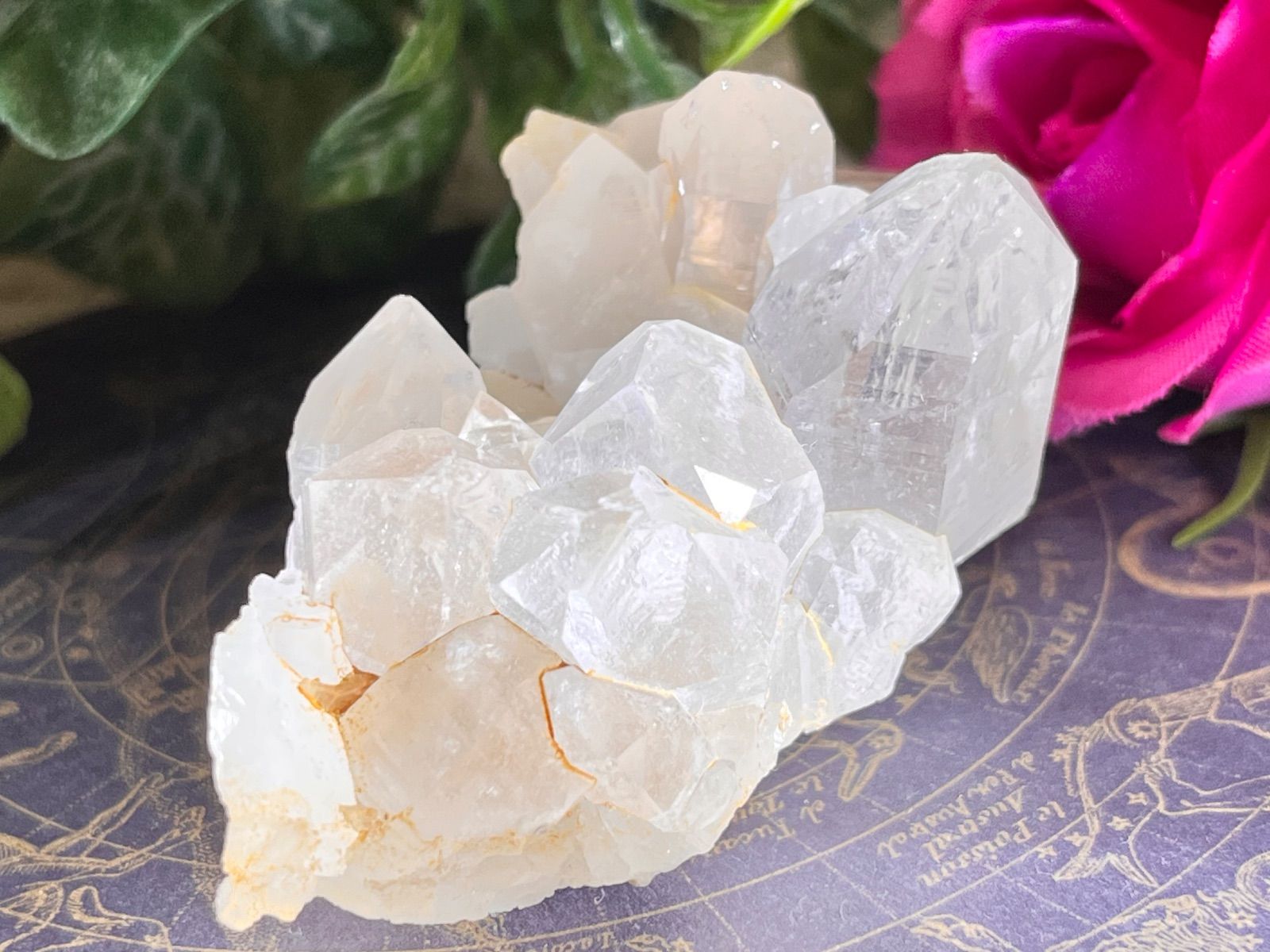 ヒマラヤ マニカラン産