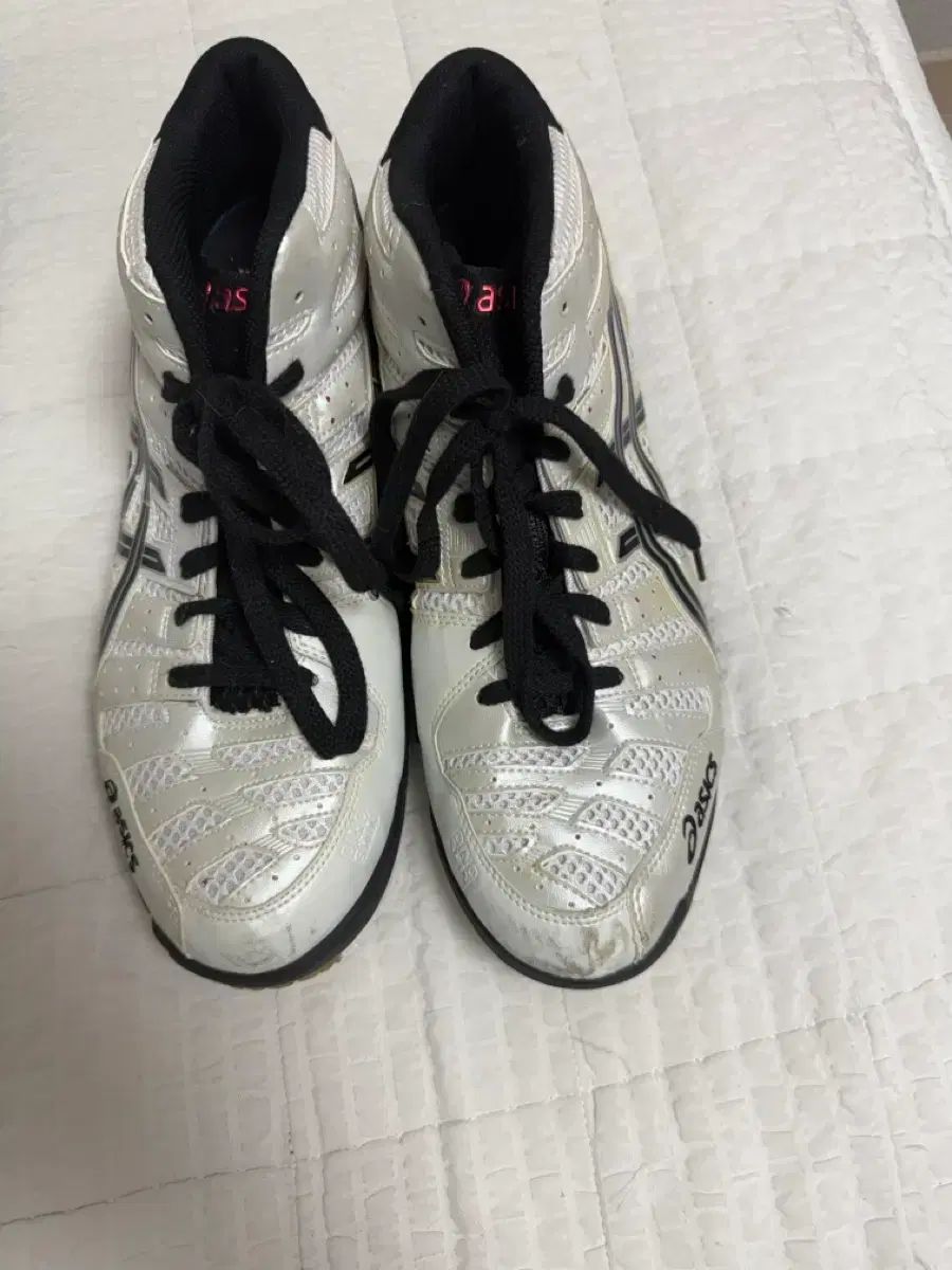 アシックス バレーボールシューズ 白 ブラック