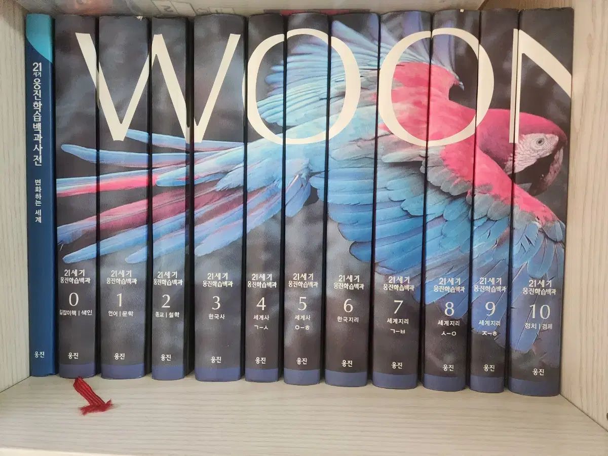 Woongjin 21世紀 ジーン