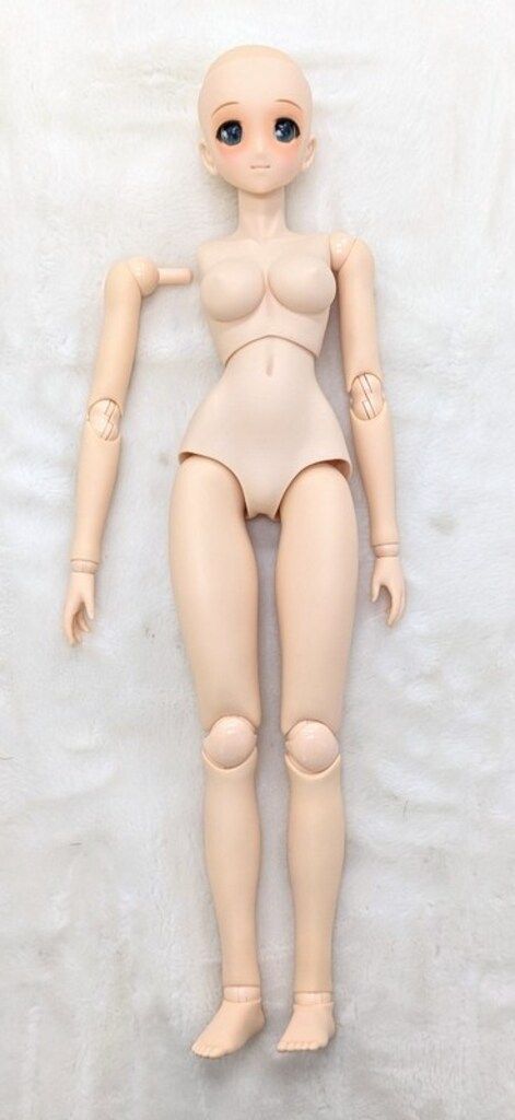  アゾン Iris Collect ノワ Sunshine vacation LS秋葉原ラジオ会館オープン4周年記念モデル 人形本体 ドルフィードリーム