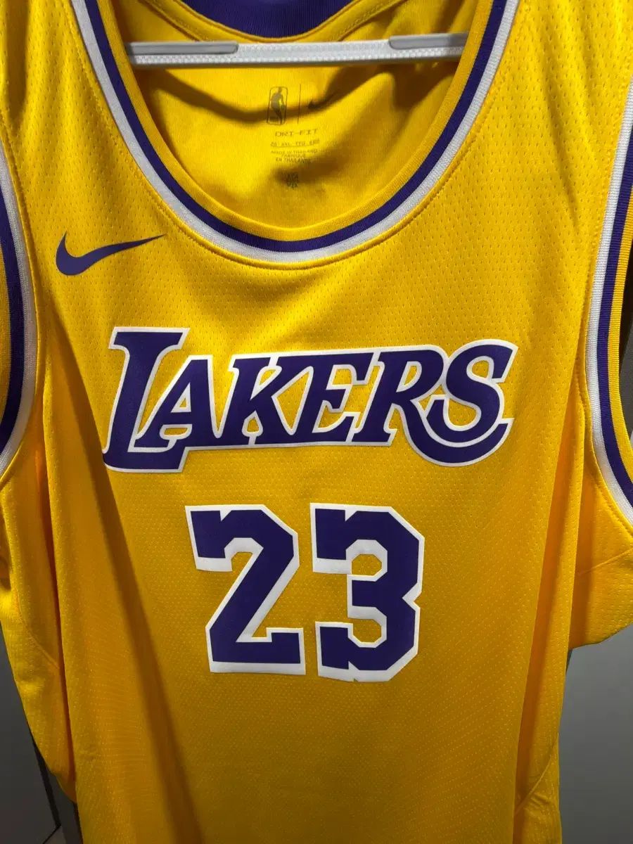ナイキ レブロン ジェームス アイコン エディション スウィングマン ジャージxxl