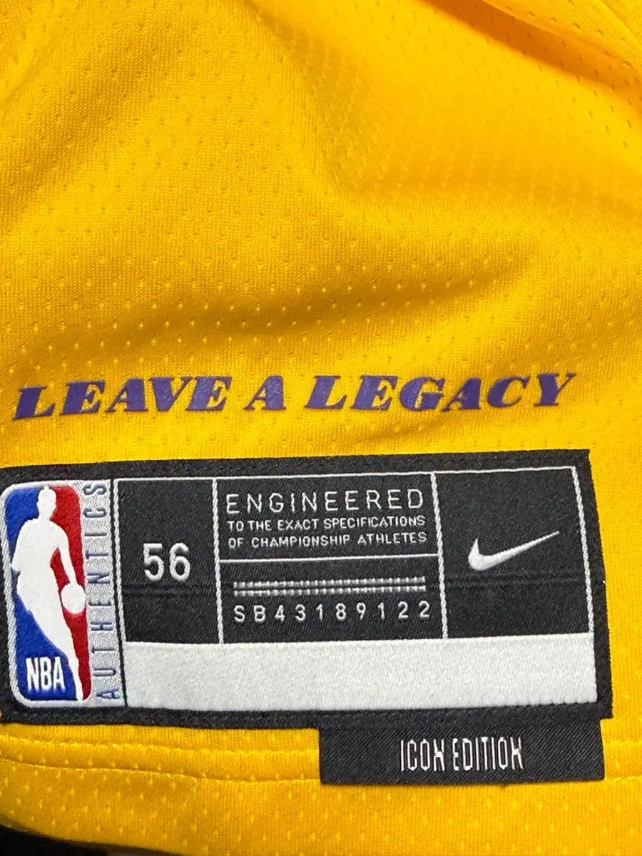ナイキ レブロン ジェームス アイコン エディション スウィングマン ジャージxxl