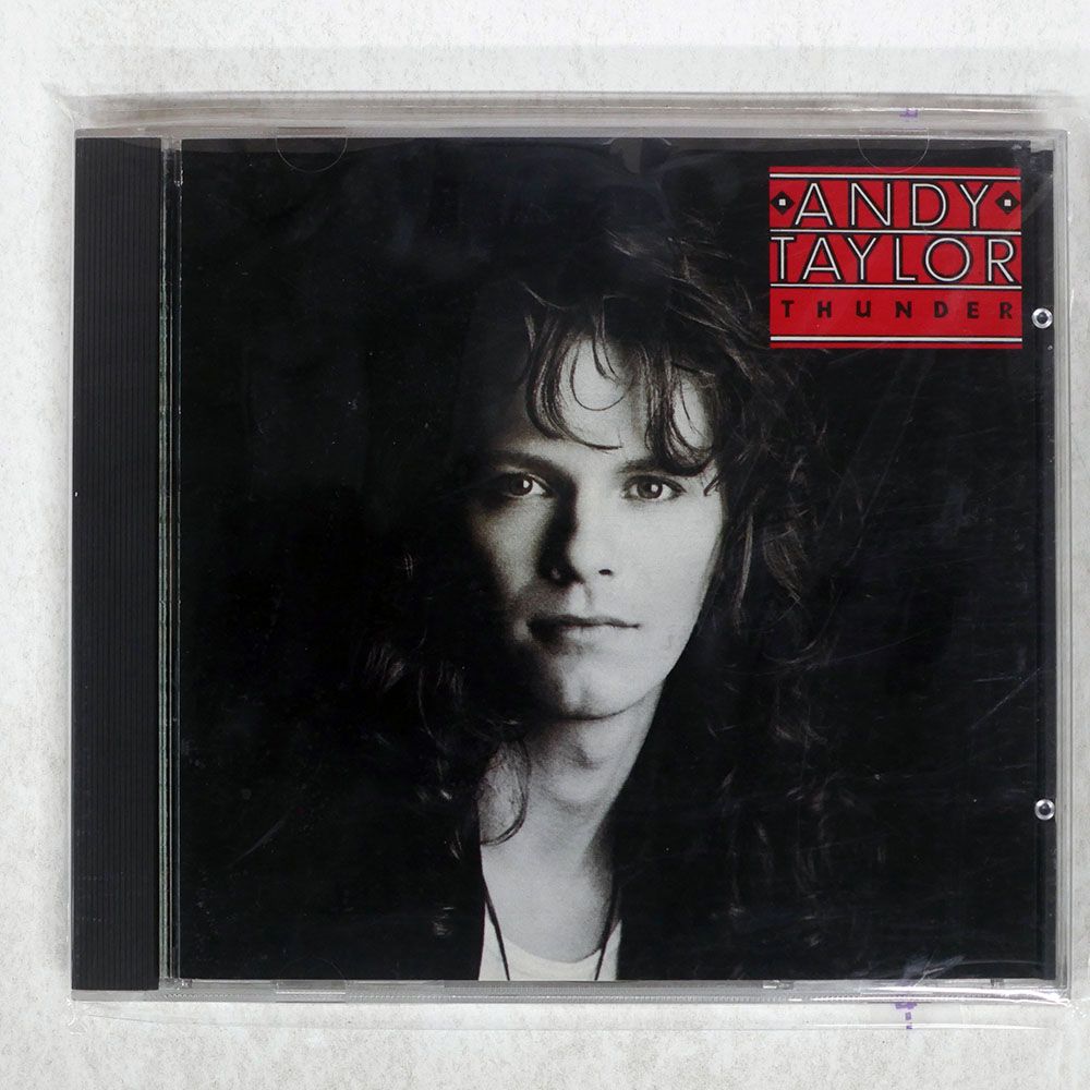 アンディテイラーCD2枚セット 国内盤 アンディテイラー/サンダー/PIONEER 32XD-547 CD □ - メルカリ