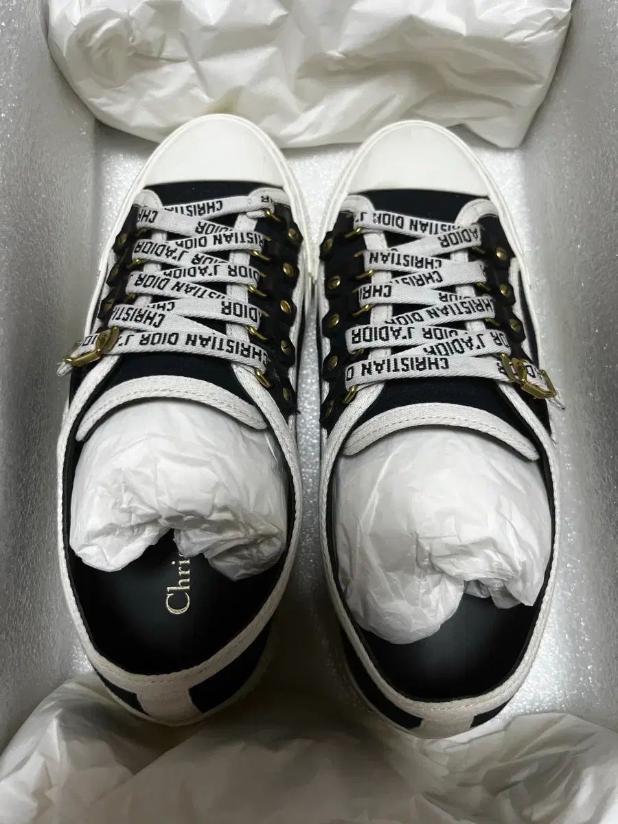 ディオール ウォーキンディオール