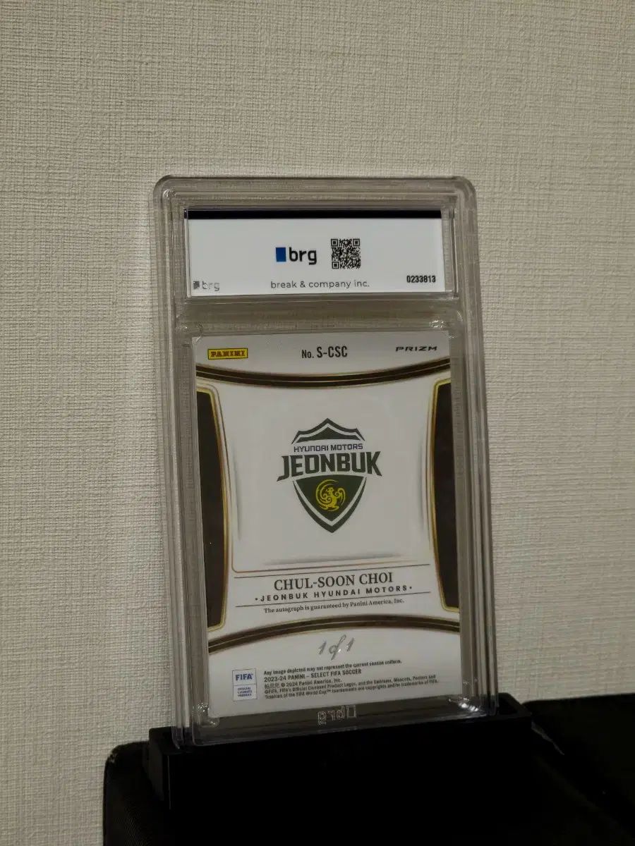 パニーニ セレクト 全北現代モータース チェ チョルスン 1 of グリーン マピ BRG 9