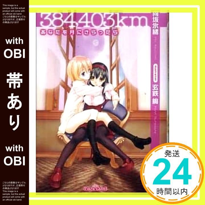 帯あり 384 403 km―あなたを月にさらったら ティアラ文庫 向坂 氷緒 玄鉄 絢_07