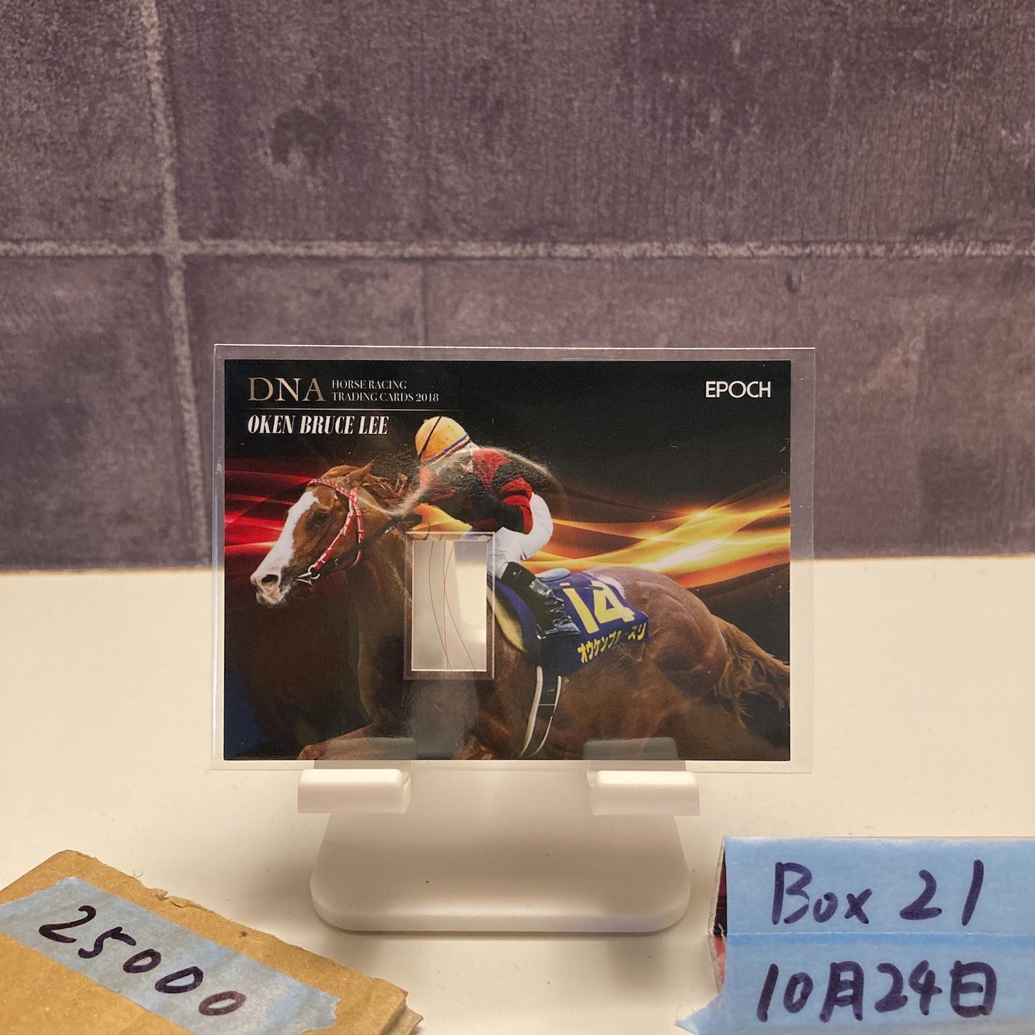 2019 EPOCH オウケンブルースリ Oken Bruce Lee 45 50 JRA フリー Memorabilia DNA カード