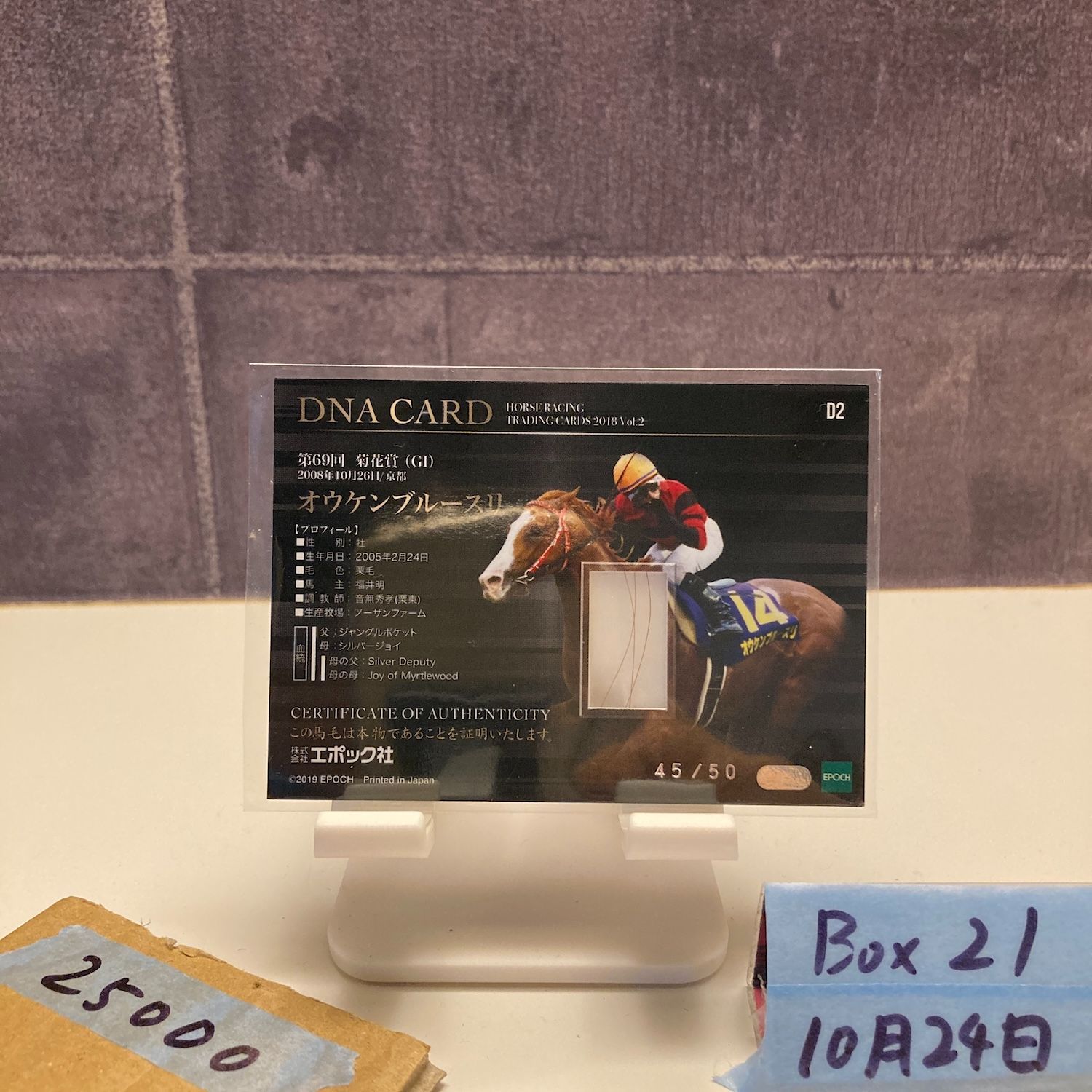 2019 EPOCH オウケンブルースリ Oken Bruce Lee 45 50 JRA フリー Memorabilia DNA カード