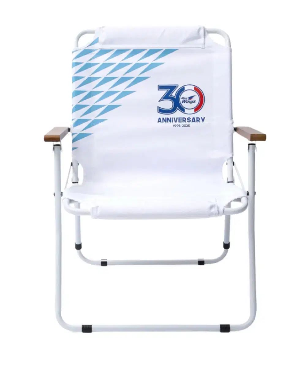 水原三星ブルーウィングス 30周年 記念 キャンプ用 椅子