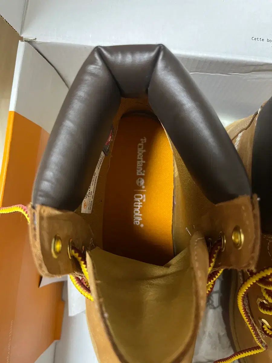  ティンバーランド レディース フラットフォーム 6インチ ブーツ ウィートブラウン 240 その他 ブーツ