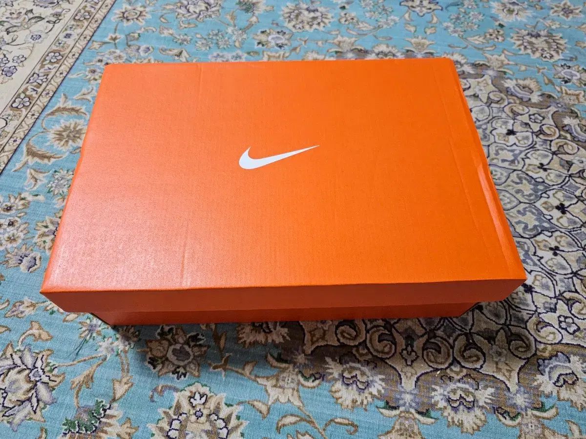 ナイキ ズーム フライ 6 ブラック 白 255