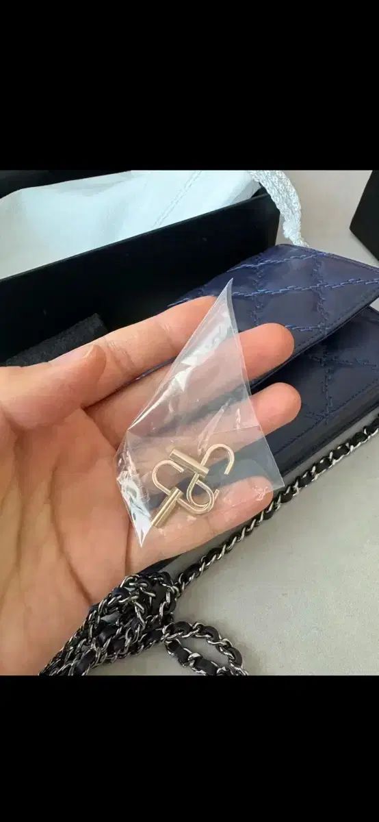 ワイルドスティッチ