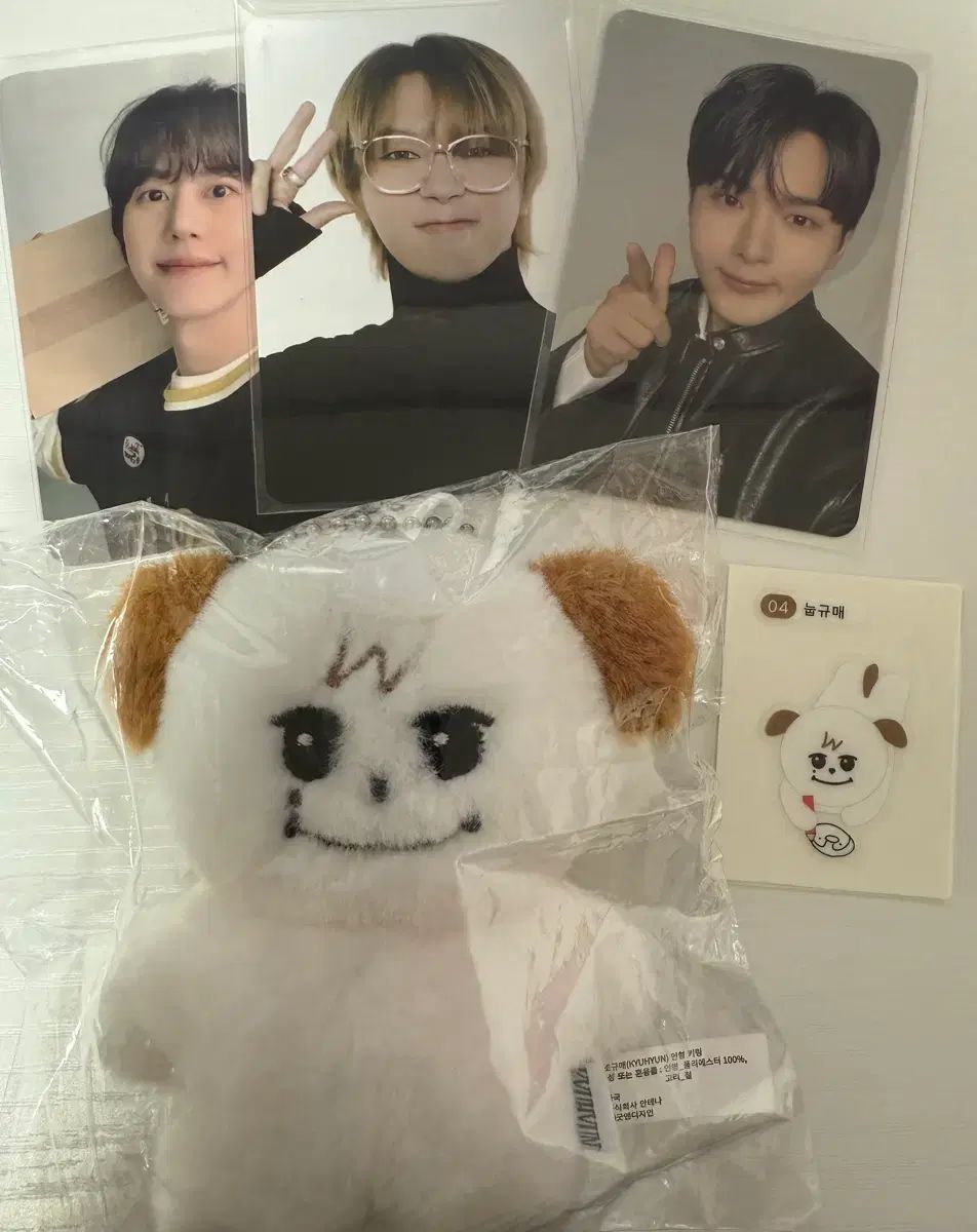 SUPER JUNIOR(スーパージュニア) キュヒョン(KYUHYUN) SUPER RECORD